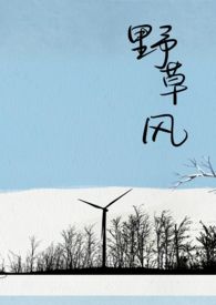 野草创投